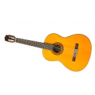 Классическая гитара WALDEN N550L